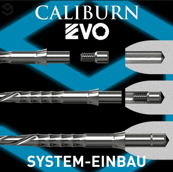 Caliburn EVO Systemeinbau