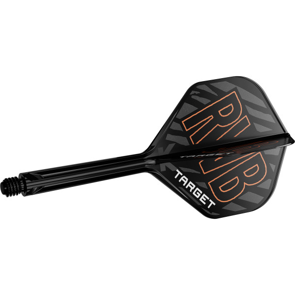 Target K-Flex Raymond van Barneveld RvB - No2